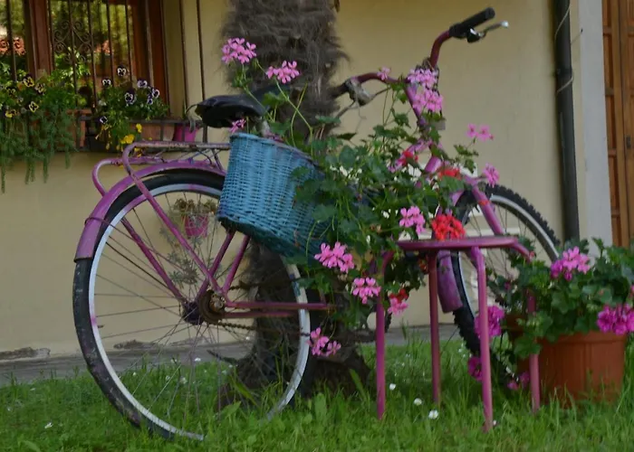 Al Mare Di Greis 3* Lido Adriano