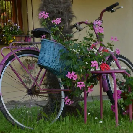 Al Mare Di Greis 3* Лидо-Адриано