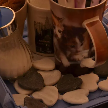 Al Mare Di Greis Лидо-Адриано