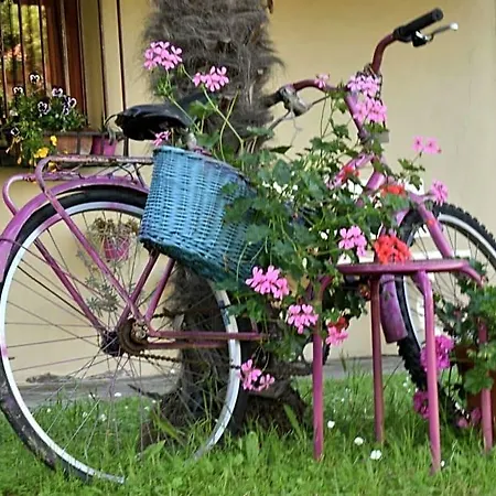 Bed & Breakfast Al Mare Di Greis 3*